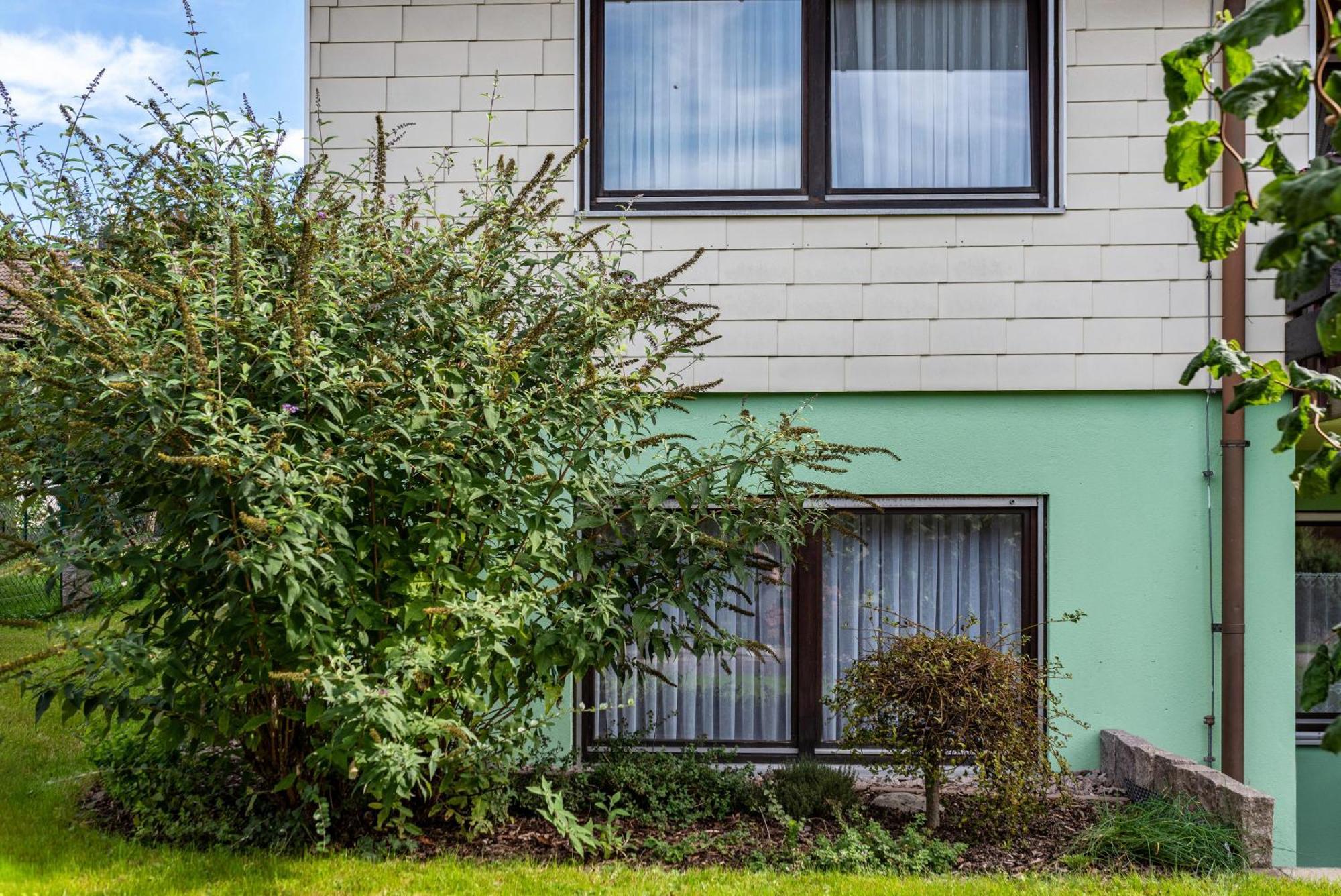 Haus Berger Villa Wehr  Екстериор снимка